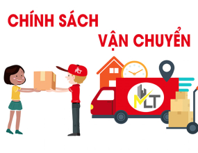 Chính sách vận chuyển